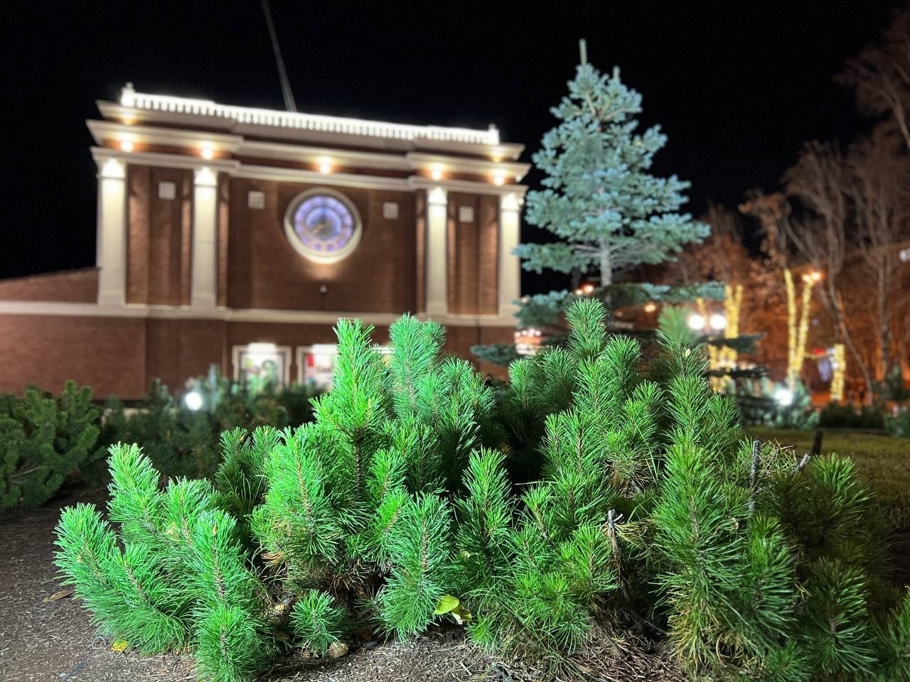 4WJC8Gogj7dPR0sbd4ff4kMFtcxkGLtUzcZXMe8a935 0W0865 k78Mj6 BIQvBpFinggN1fuBXwGwSNNM1QEIn7 1